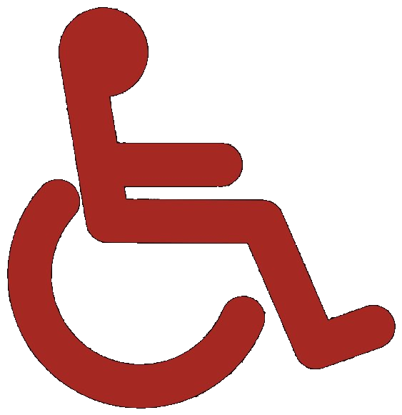 Disability Access